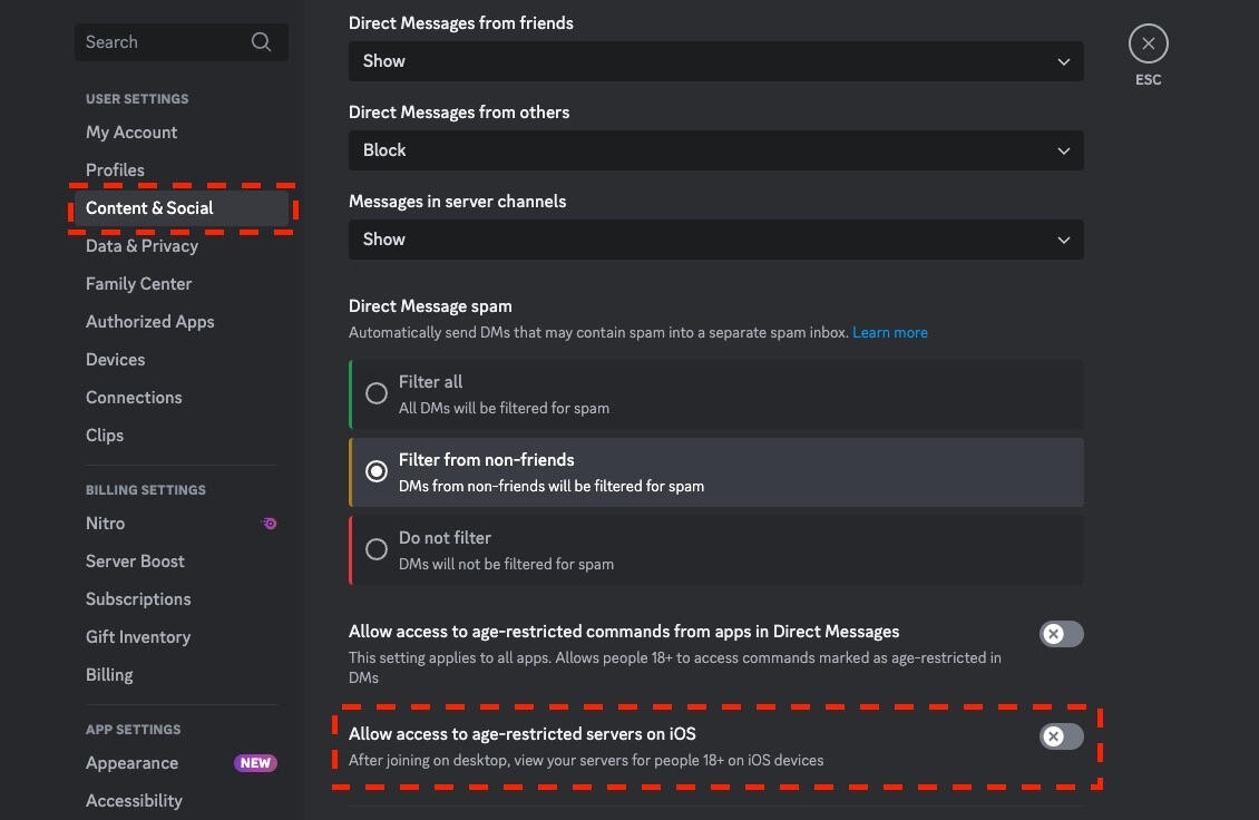 Discord Settings